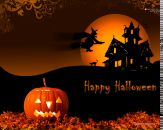 Екатерина Шульга фотография #21 (источник - https://vk.com/id63509643)