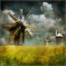 Фотография Масленникова Александра
