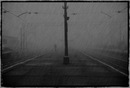 Фотография Сергеева Андрея