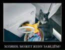 Игорь Темник фотография #12 (источник - https://vk.com/id96615668)
