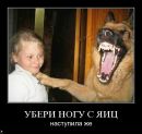 Игорь Темник фотография #50 (источник - https://vk.com/id96615668)