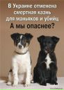 Юлія Фурія фотография #29 (источник - https://vk.com/id5070335)