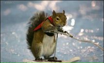 Фотография Понкратовой Лилии