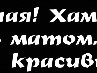 Ксения Ян фотография #3 (источник - https://vk.com/id134942657)