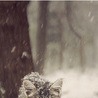 Даша Ярмоліцька фотография #20 (источник - https://vk.com/id135461332)