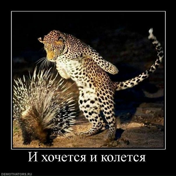Иван Друковский фото №26