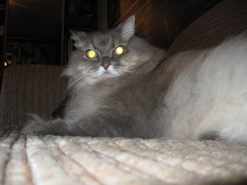 Игорь Муркин фотография #6