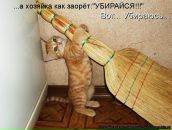 Богдан Візір фотография #30 (источник - https://vk.com/id151810131)