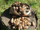 Фотография Зацепиной Ирины