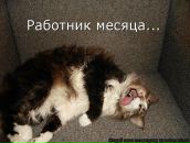 Фотография Банифатовой Ольги