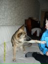 Фотография Гайнутдинов Альберт