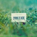 Фотография Крыковой Влады