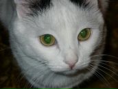 Фотография Молоковой Алёны