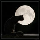 Фотография Петиной Марины