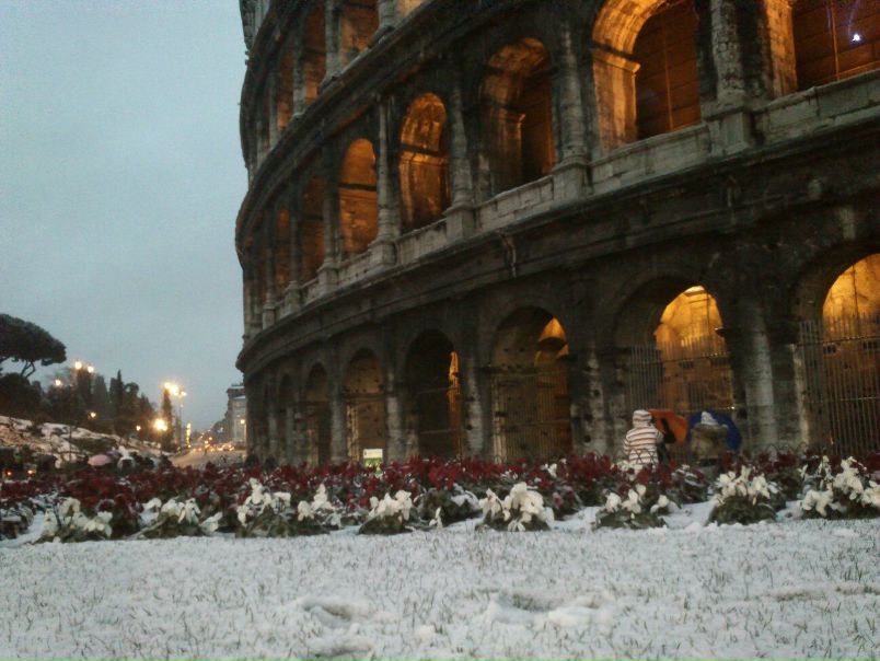 Иван D фото №4