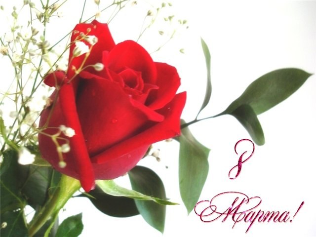 Игорь Палей фотография #4