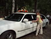 Фотография Артемьевой Светланы