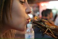 Natalia Hauser фотография #47 (источник - https://vk.com/id691460)