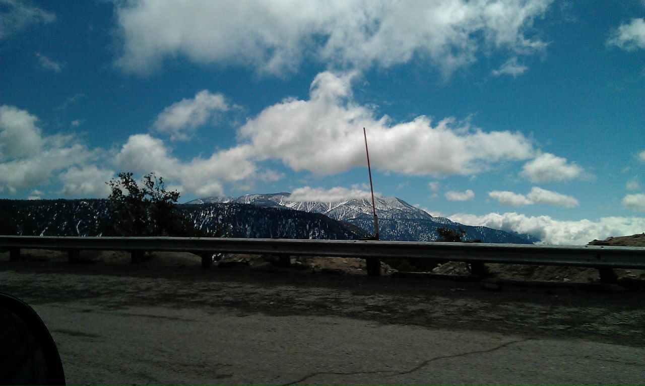 Дмитрий Бурцев фотография #33