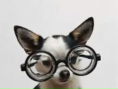 Марина Надбитова фотография #43 (источник - https://vk.com/id2913446)