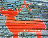 Анютка Ніколаєць фотография #23 (источник - https://vk.com/id11073314)