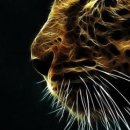 Ігор Шутурма фотография #14 (источник - https://vk.com/id122805674)