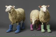 Фотография Богатыревой Марины