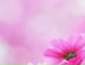 Вікторія Калінченко фотография #8 (источник - https://vk.com/id43190184)