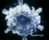 Фотография Андреева Александра