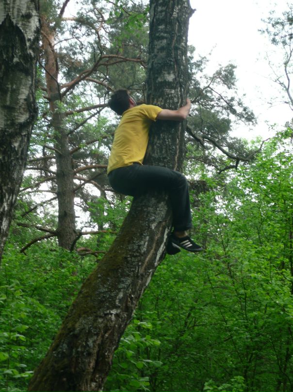 Александр Степанов фотография #38