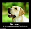 Степан Лівандовський фотография #26 (источник - https://vk.com/id30151976)
