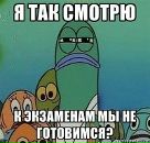 Фотография Черняка Арсения