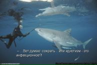 Оксана Невоструєва фотография #6 (источник - https://vk.com/id10031765)