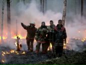 Фотография Жернакова Кирилла