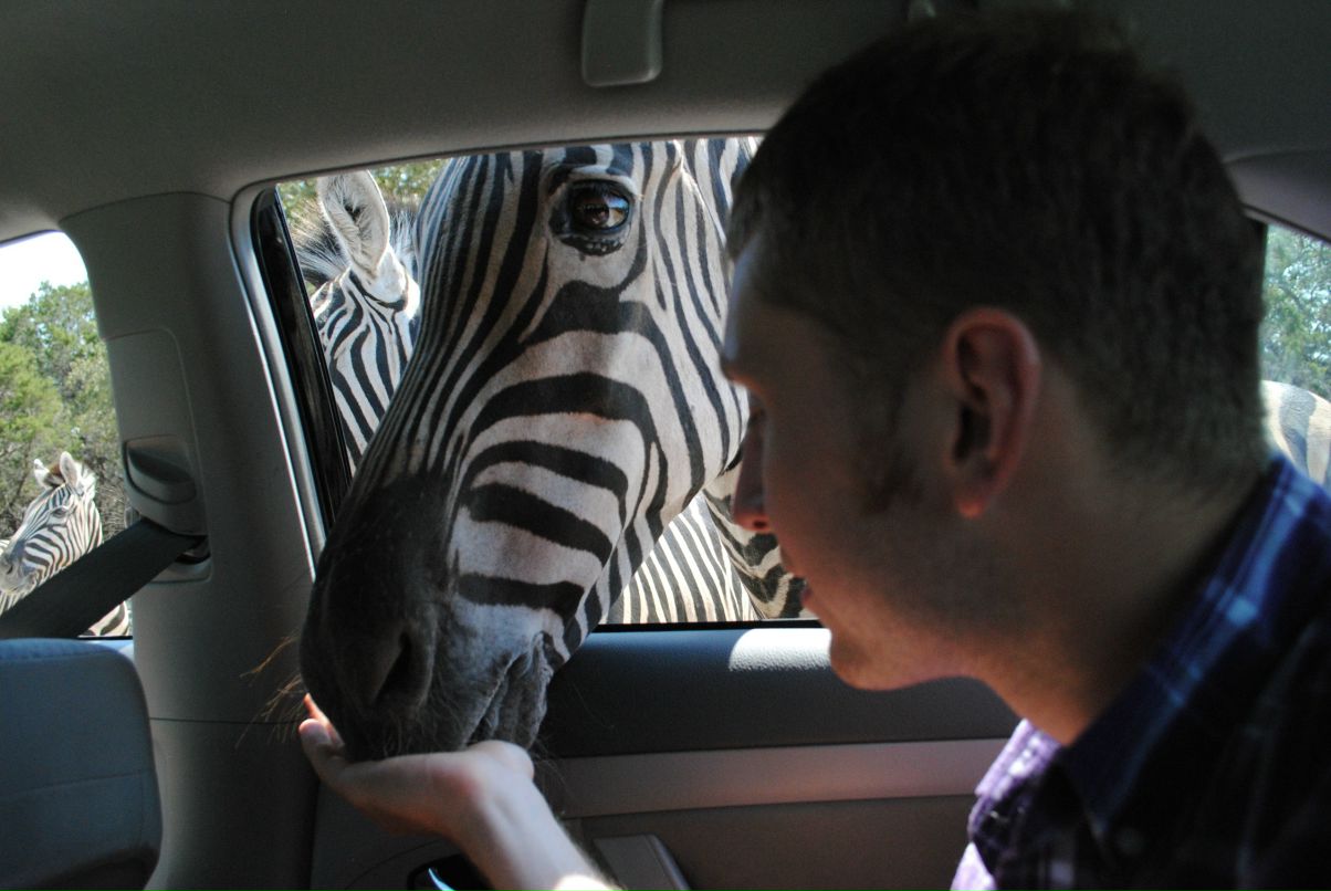 Андрей Разумец фотография #47