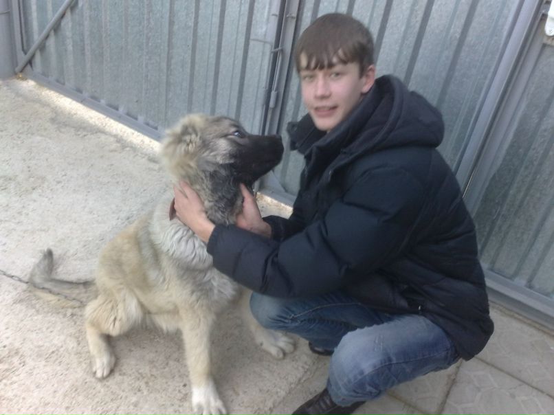 Иван Фадеев фотография #33