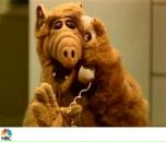 Юра Коскін фотография #20 (источник - https://vk.com/id16057274)