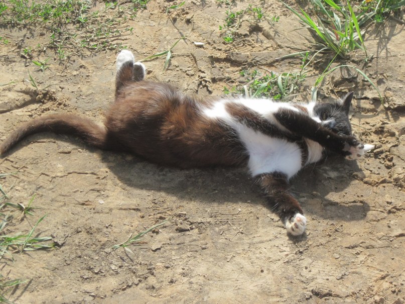 Наталья Гринёва фотография #19