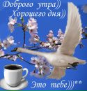 Ігорь Данько фотография #46 (источник - https://vk.com/id144759863)