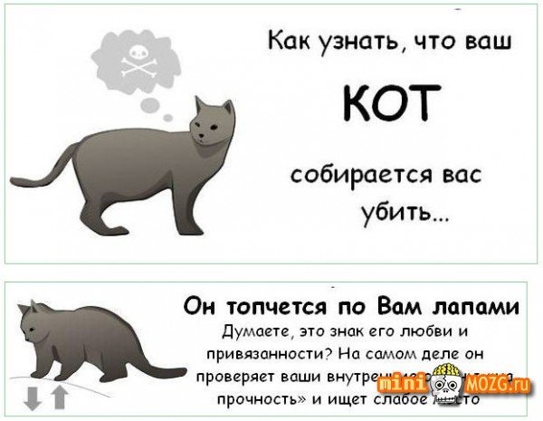 №16, Максим Комаров, Малаховка, Россия №16, Максим Комаров, Малаховка, Россия