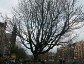 Фотография Гравшиной Яны