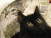 Фотография Гапоновой Зои