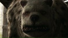 Фотография Ромашко Дмитрия