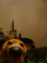 Doggy Sad фотография #14 (источник - https://vk.com/id142165849)