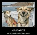 Сергій Біленький фотография #36 (источник - https://vk.com/id136069265)