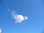 Фотография Репиной Светланы