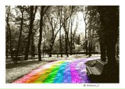 Фотография Мишиной Марии