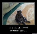 Фотография Пайвина Андрея
