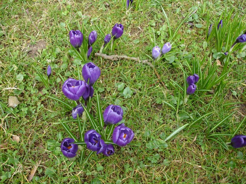 Ирина Лукс фотография #39