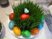 Рада Гвоздевабацута фотография #50 (источник - https://vk.com/id43481007)